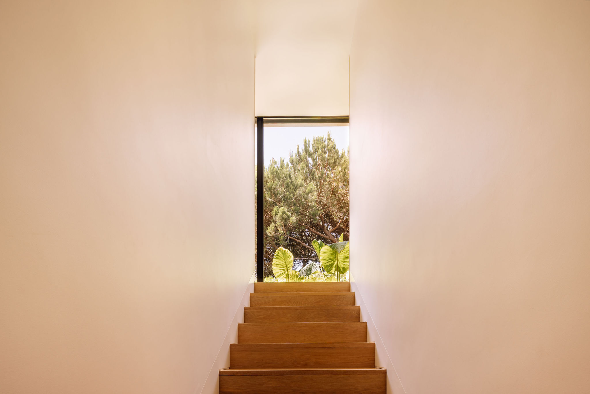 Project image 6