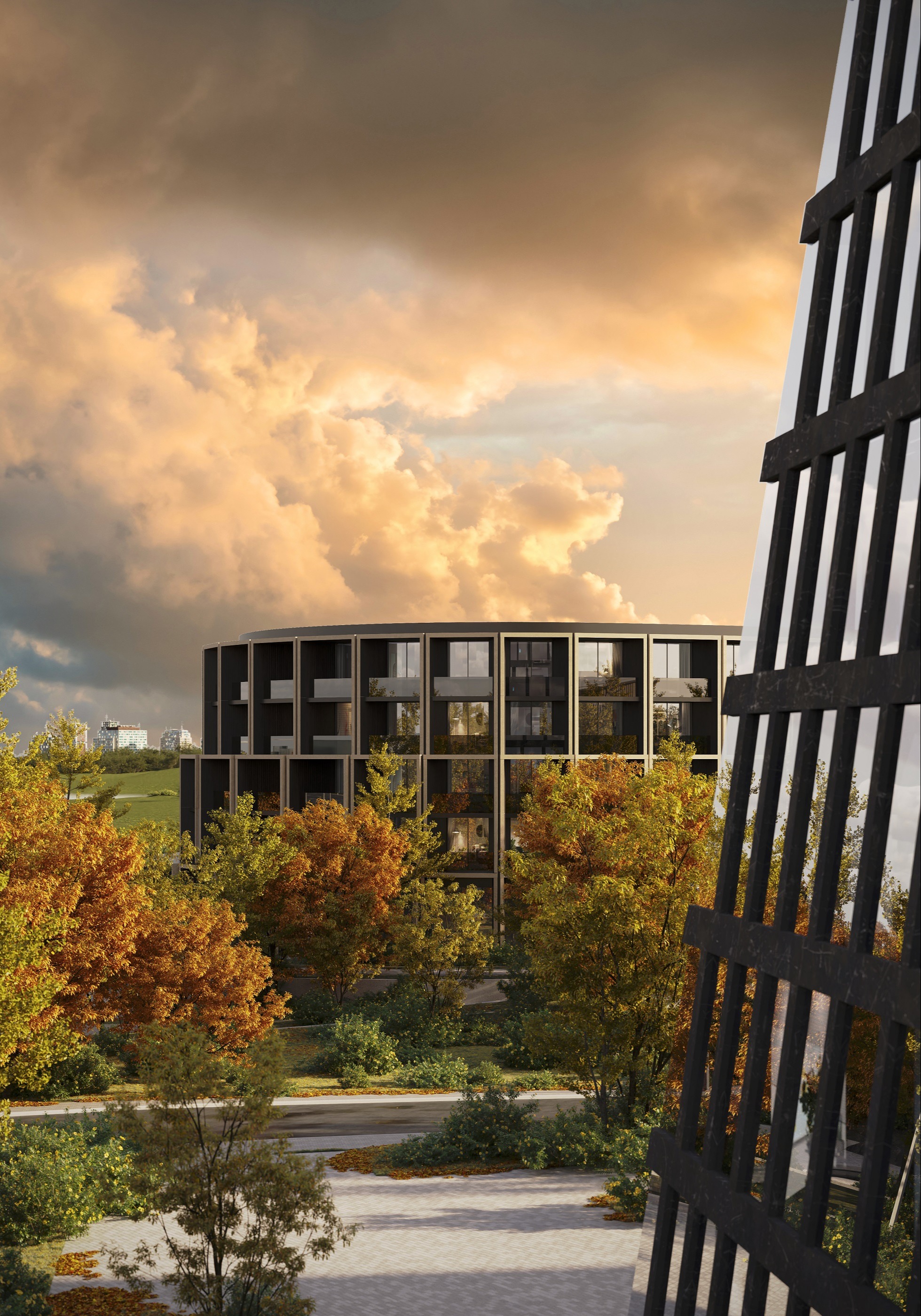 Project image 6