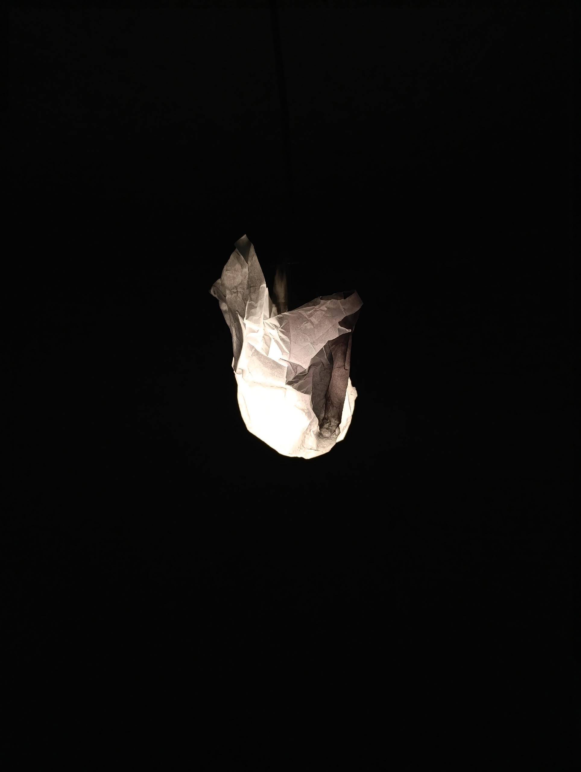 Project image 5