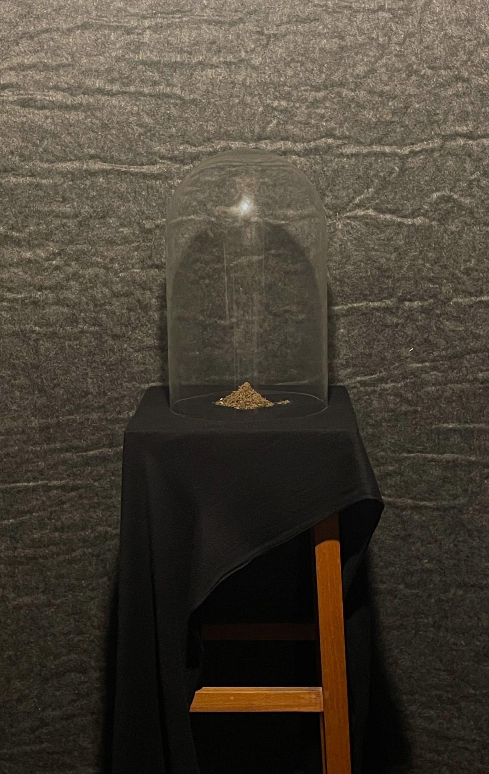 Project image 6