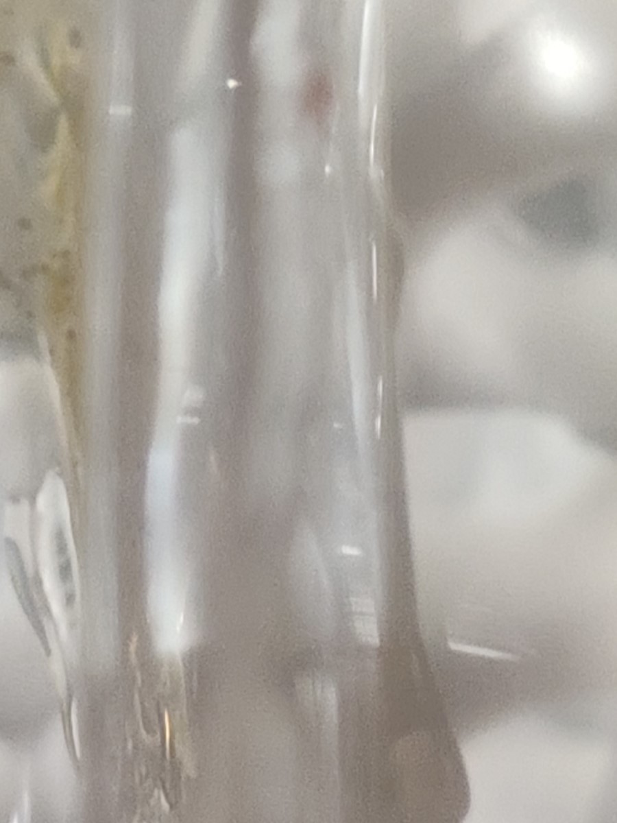 Project image 5