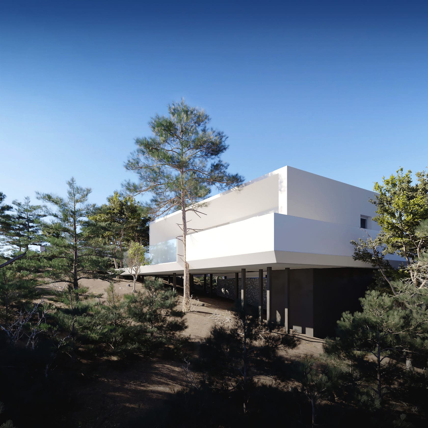 Project image 1