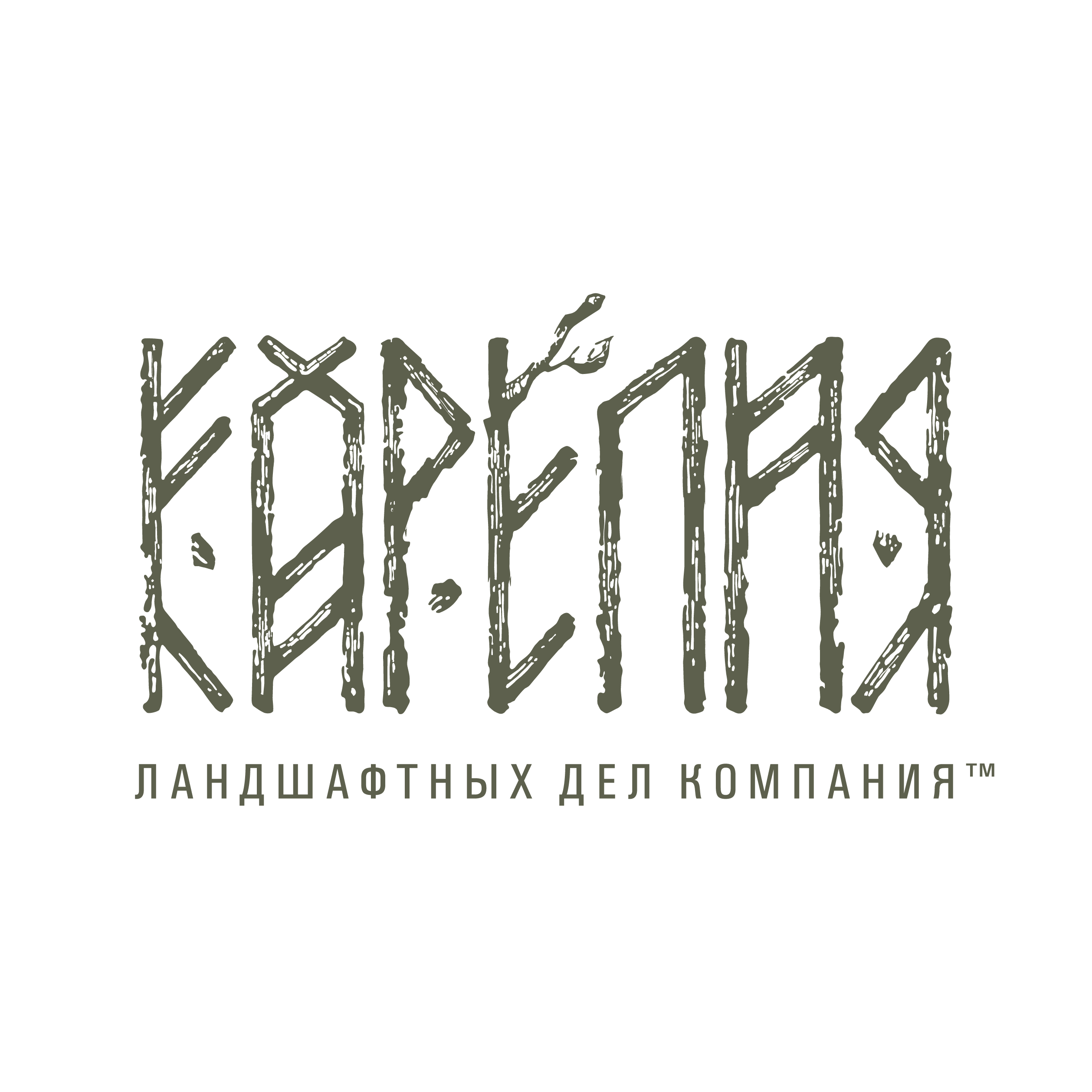 Project image 4