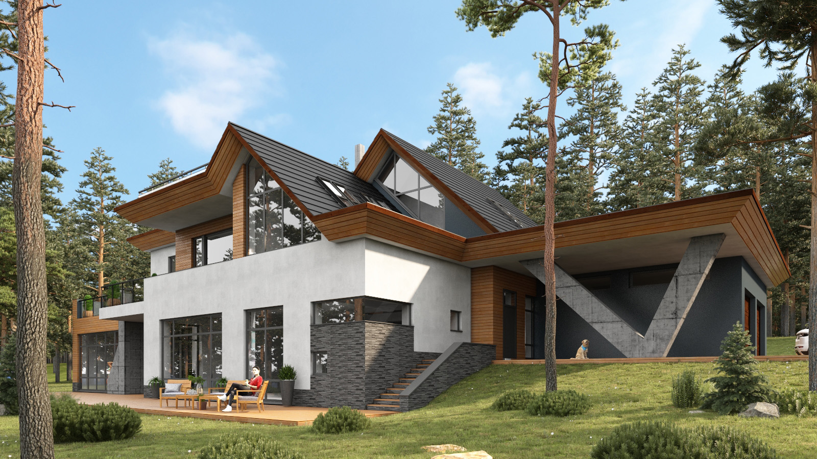 Project image 1