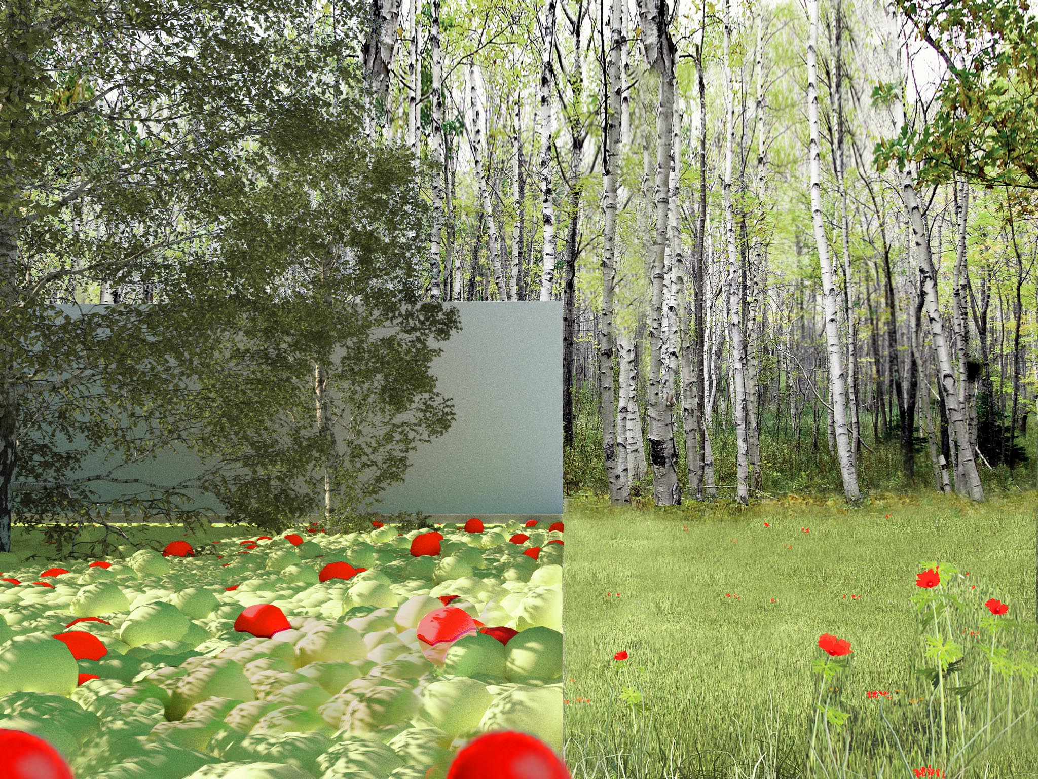 Project image 4
