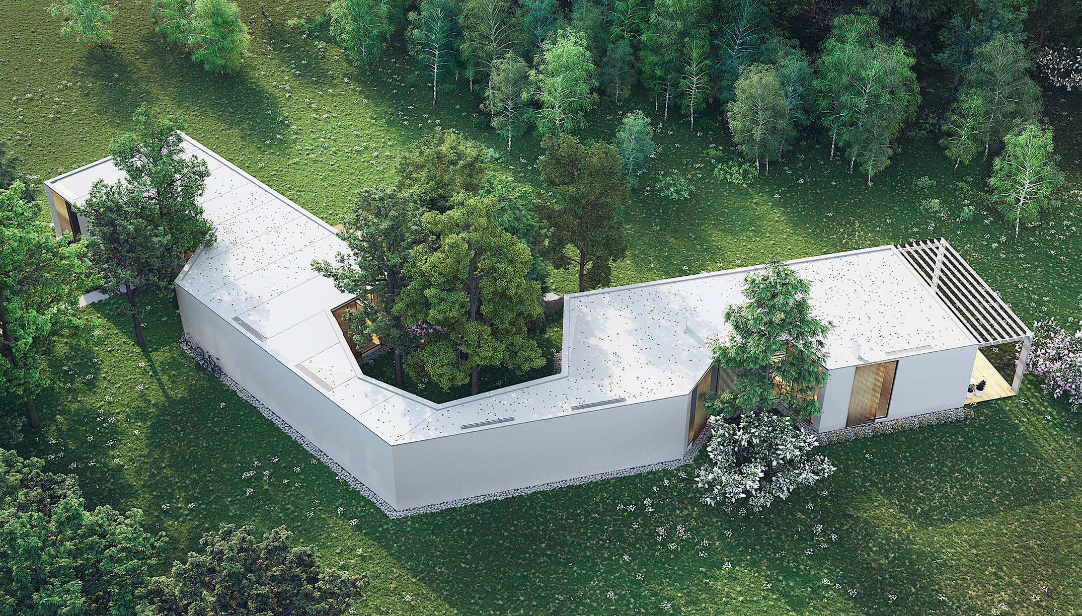 Project image 1