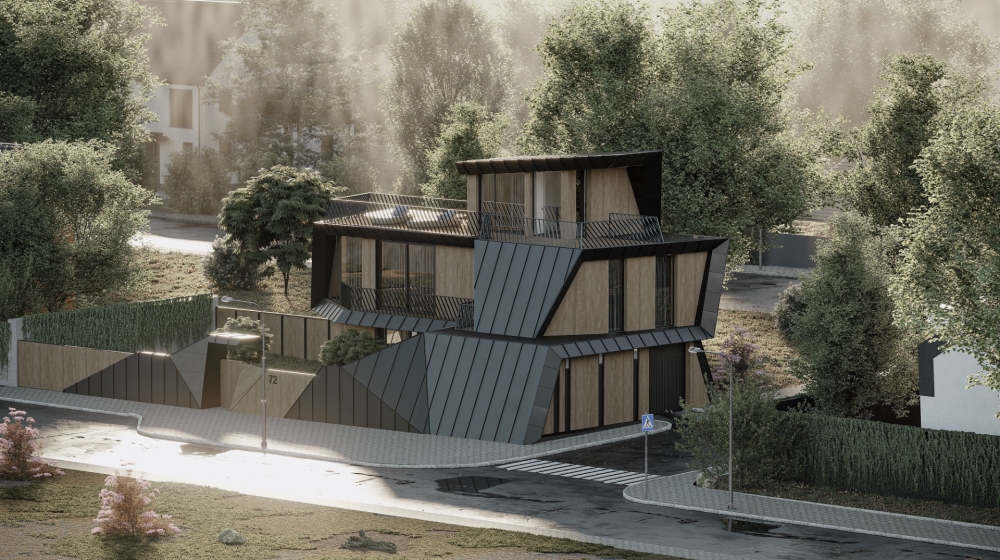 Project image 4