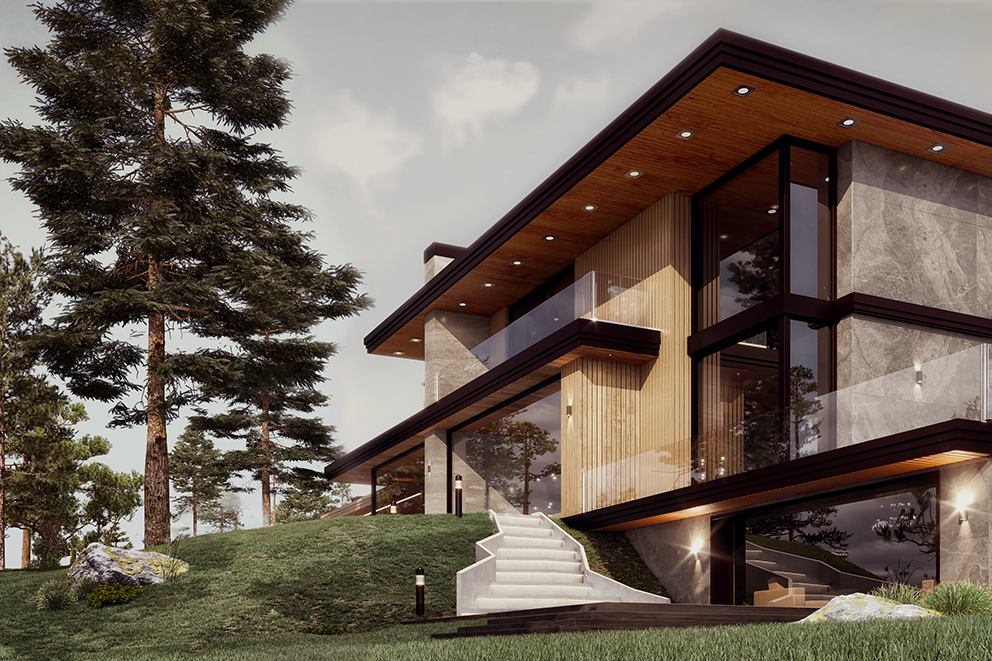 Project image 1
