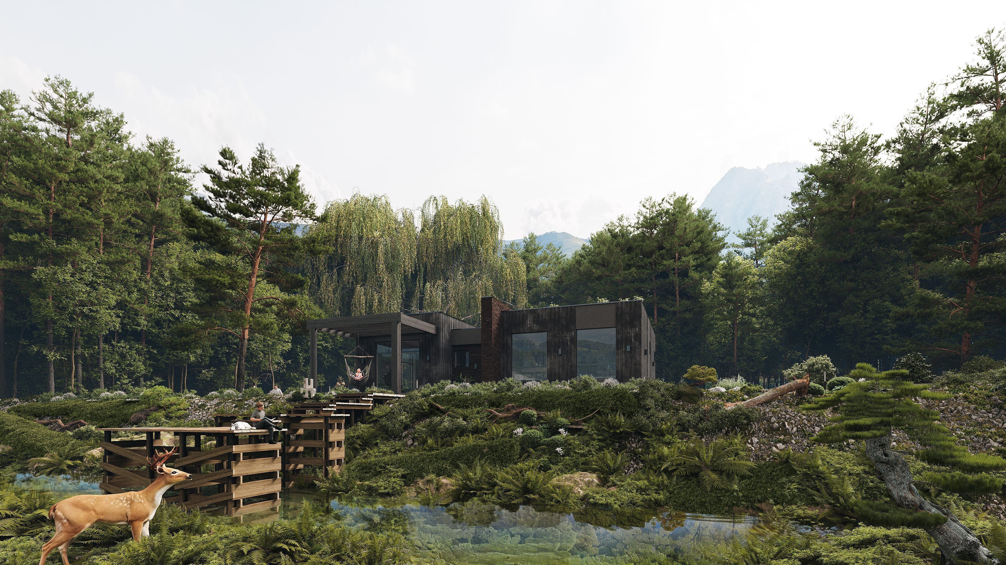 Project image 4