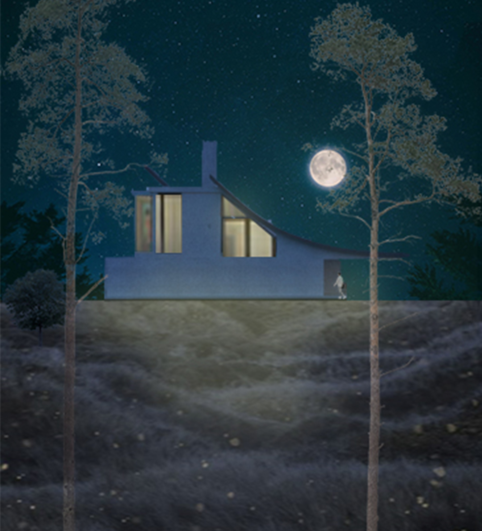 Project image 4